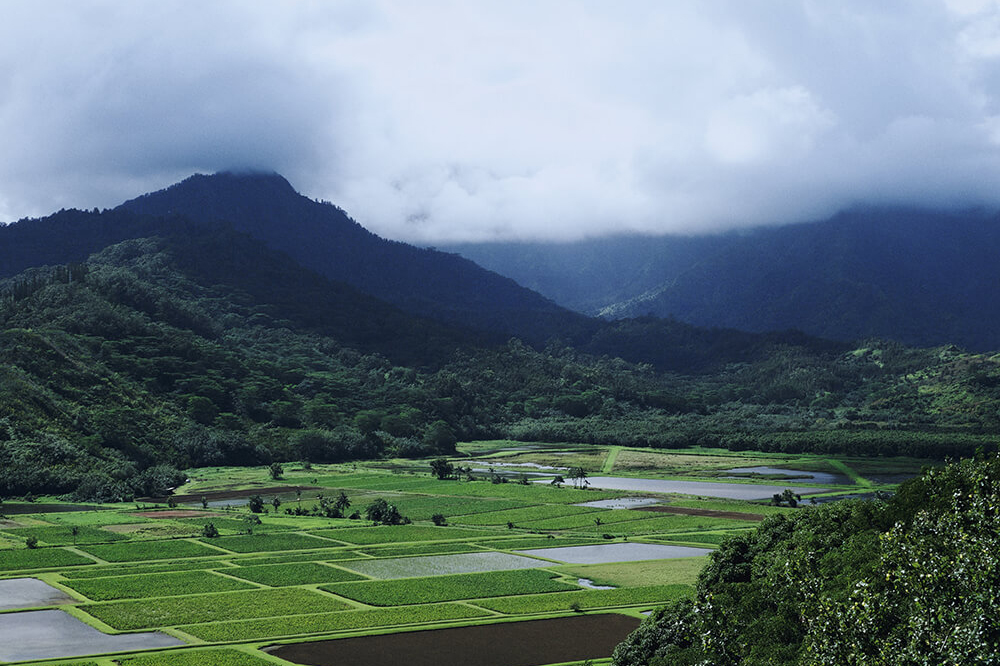 Assam & Meghalaya with Majuli Island Tour